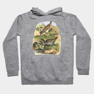 Birds on the landscape background Hoodie